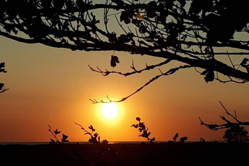 Vakantiehuisje Gaasterland Oudemirdum Friesland Nederland Екстер'єр фото